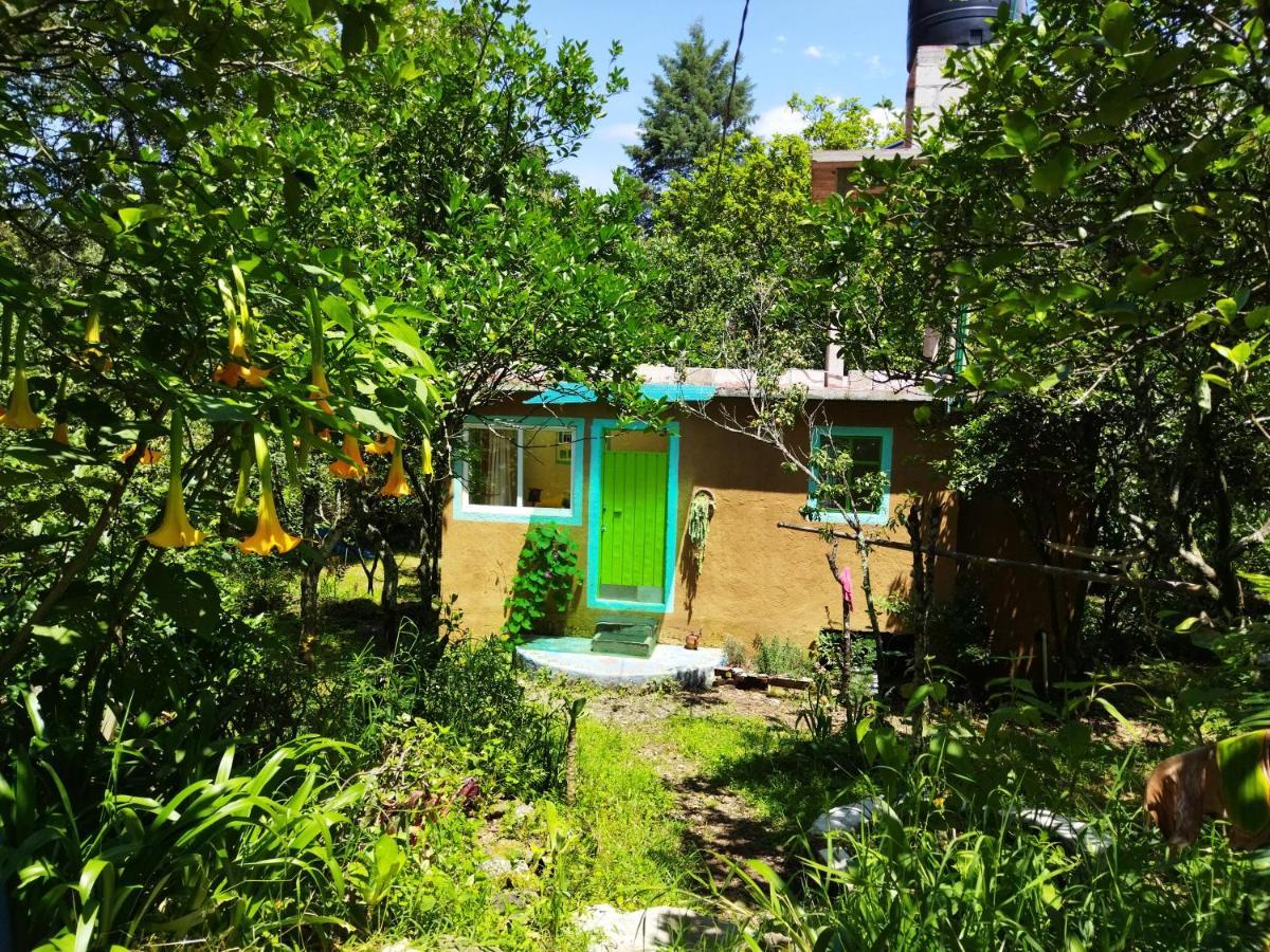 Casa Ecologica Apartment Tepoztlan Bagian luar foto