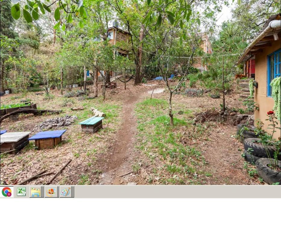 Casa Ecologica Apartment Tepoztlan Bagian luar foto
