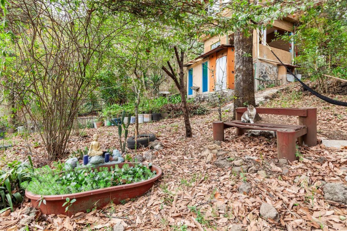 Casa Ecologica Apartment Tepoztlan Bagian luar foto
